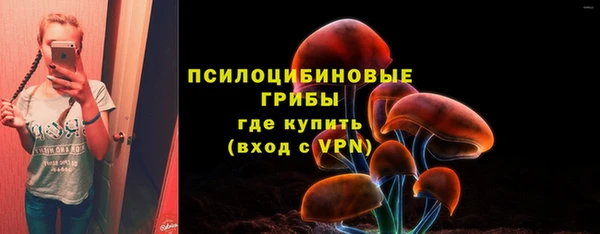 ALPHA PVP Баксан