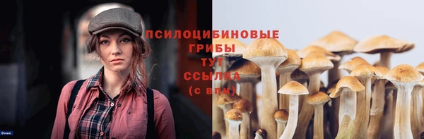 apvp Балахна