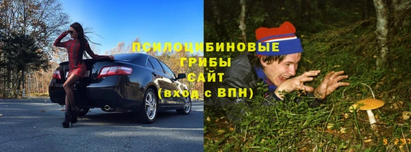 apvp Балахна